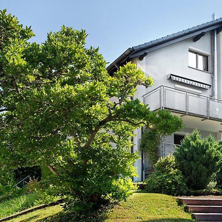 Ferienwohnung Das Nest Schiltach Ngoại thất bức ảnh